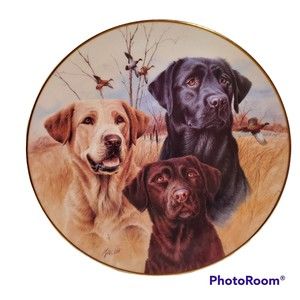 Three Labradors By Jim Killen Limited Edition The Danbury Mint Plate No. D6086